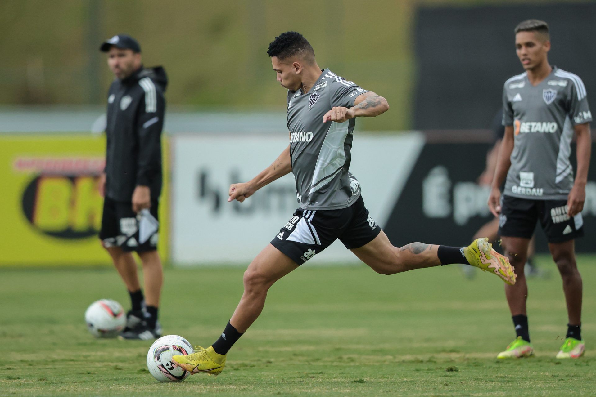 TREINO TREINO