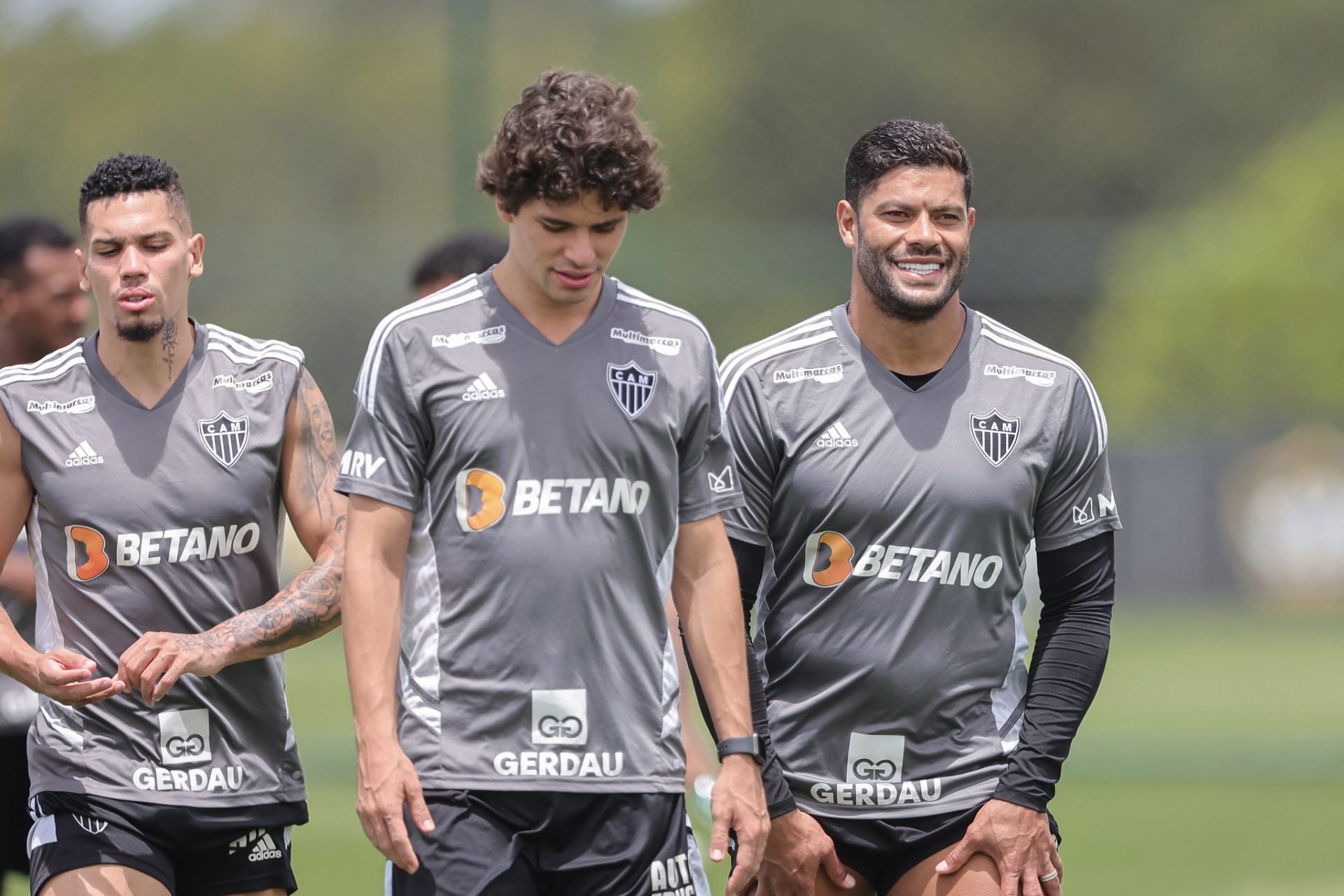 TREINO