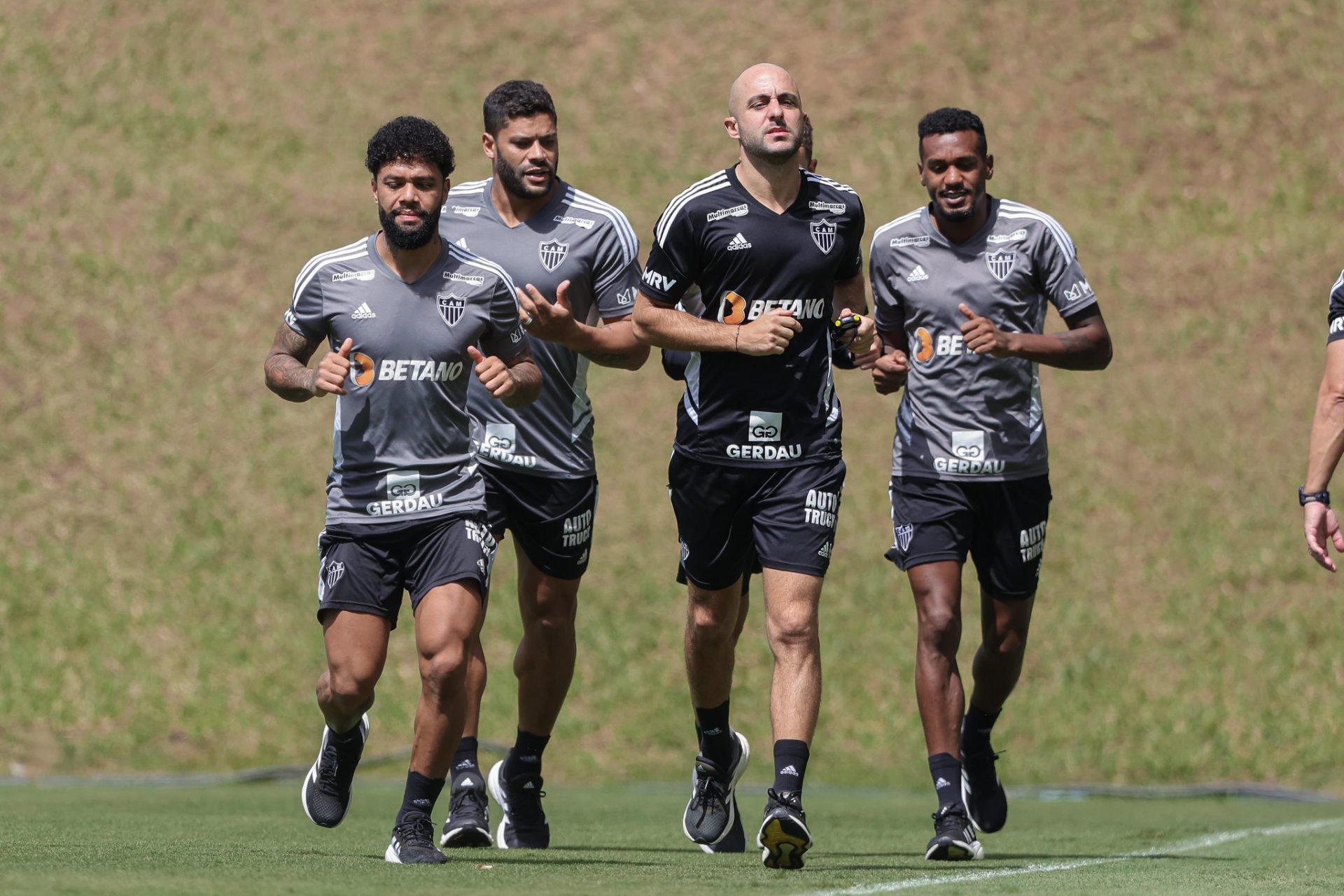 TREINO