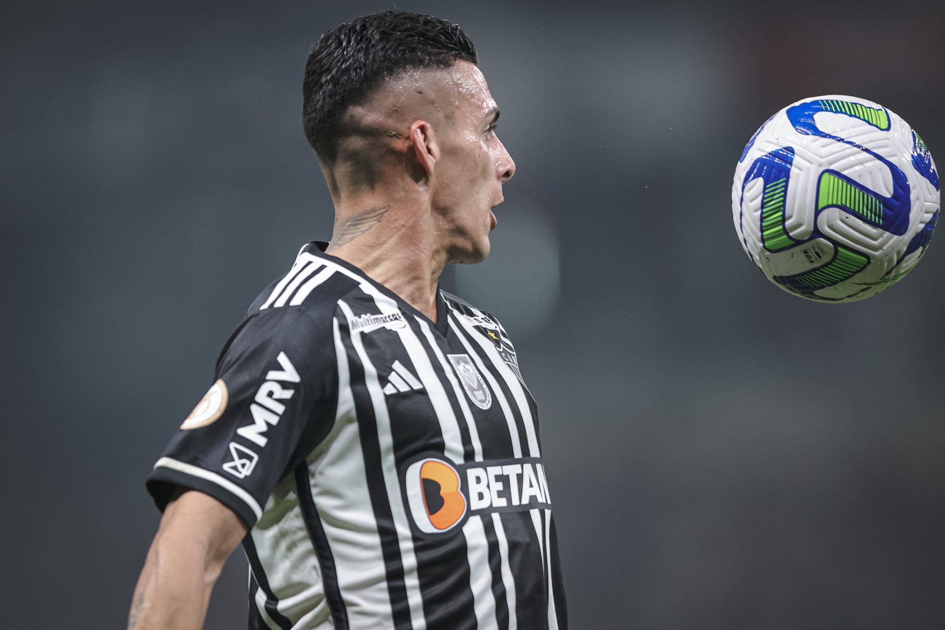 PAVÓN