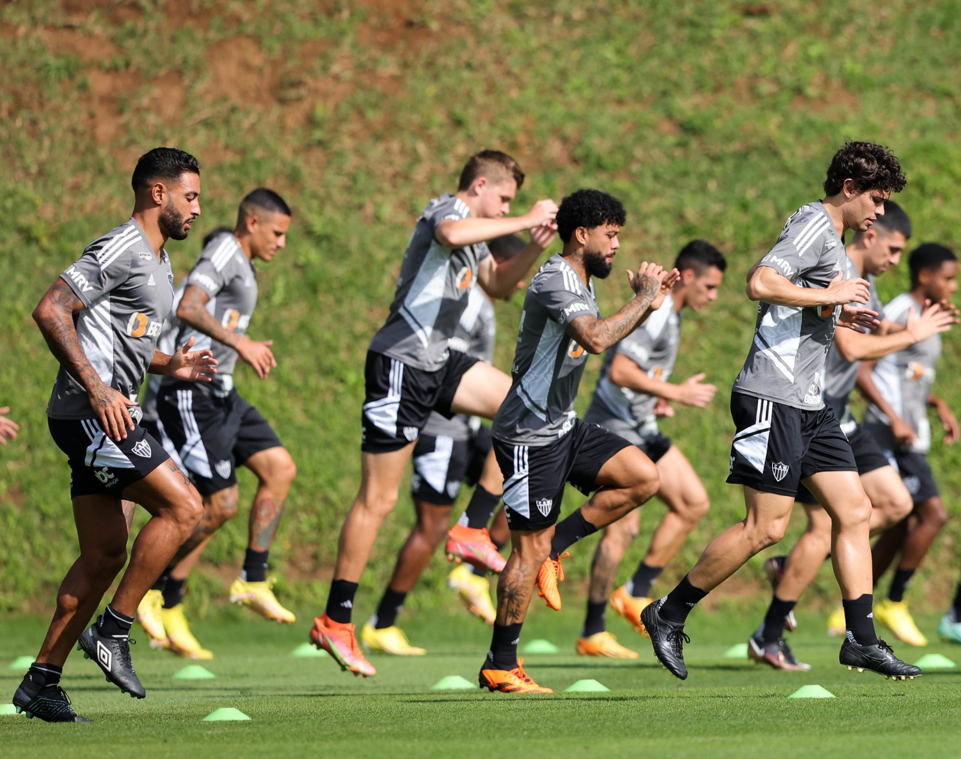 TREINO