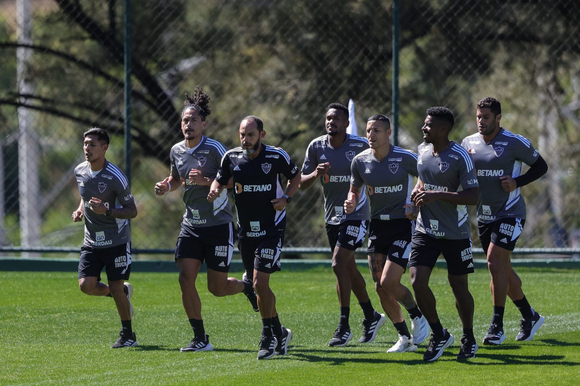 TREINO TREINO