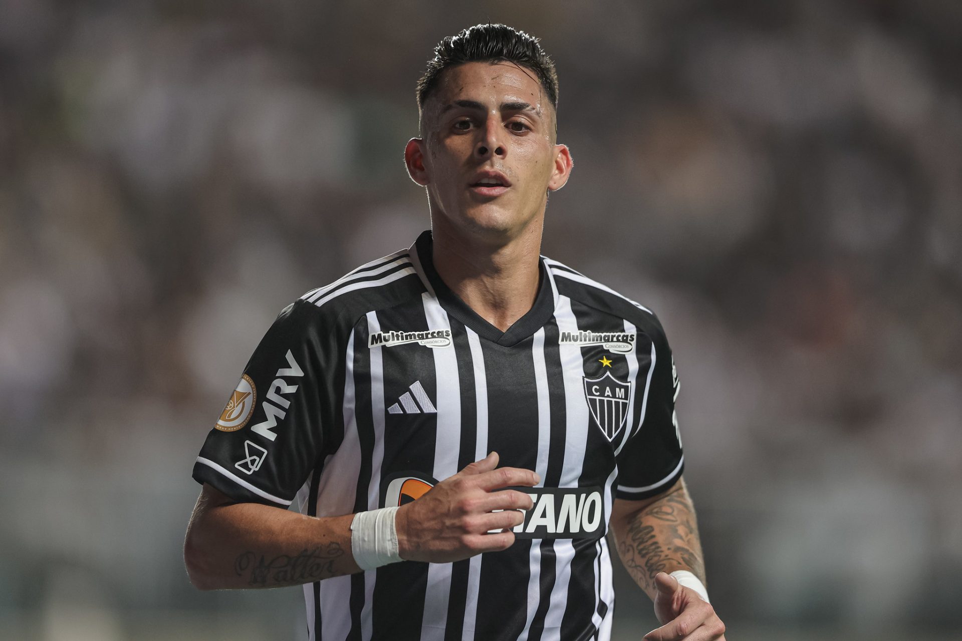 PAVÓN PAVÓN