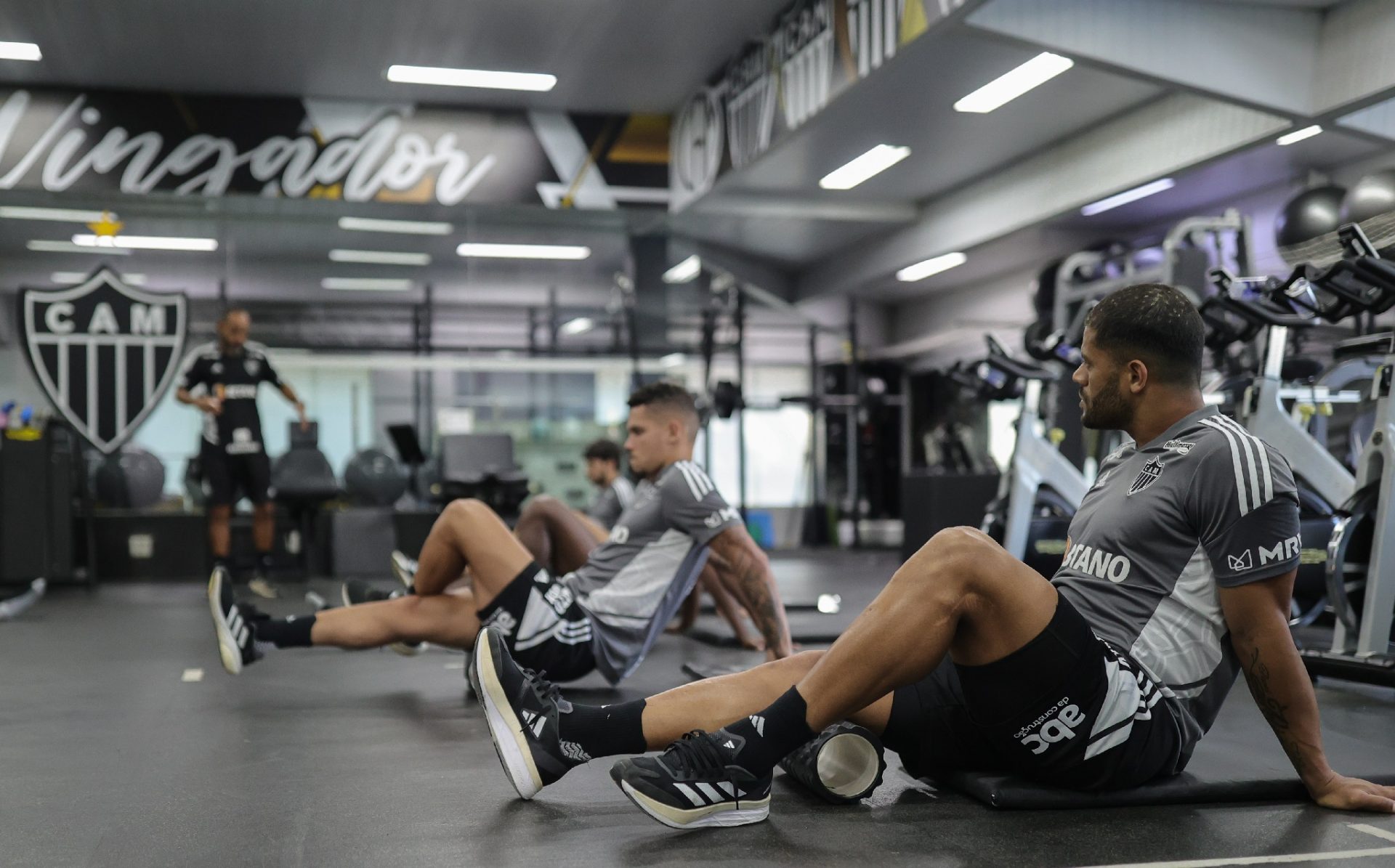 TREINO TREINO