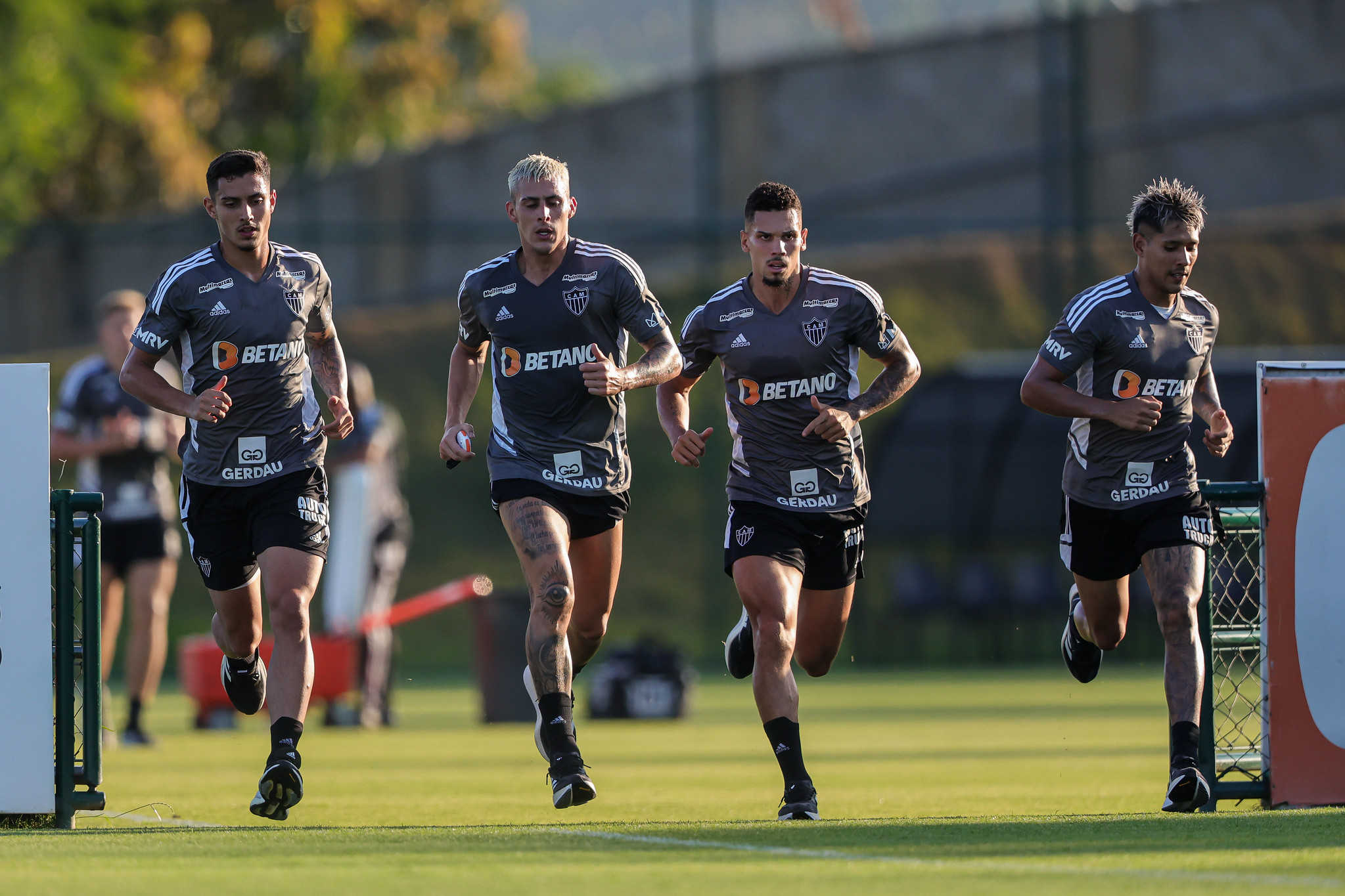 TREINO
