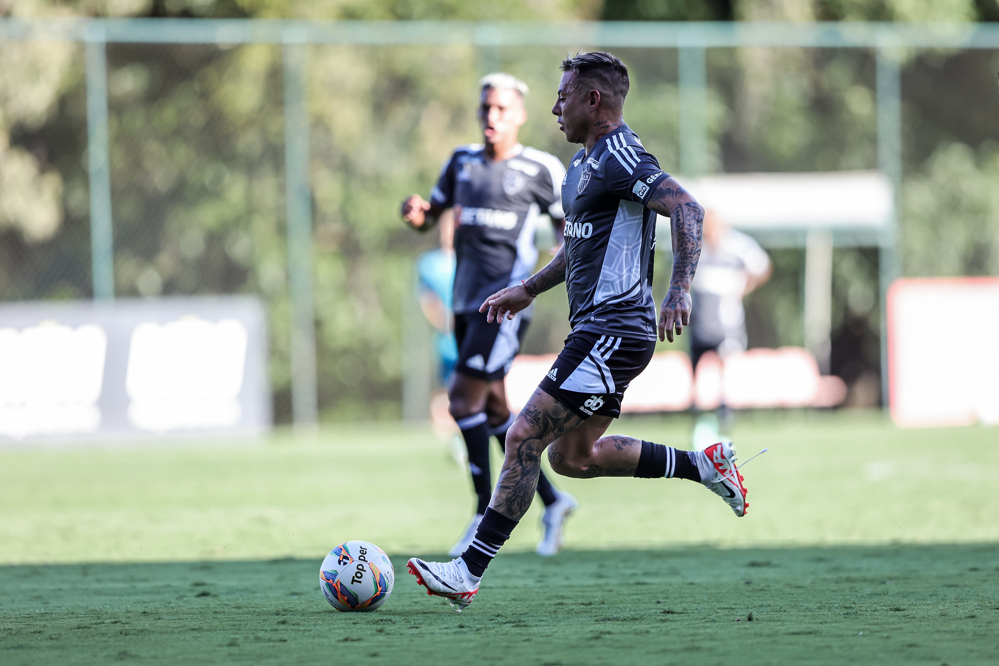 53475580292_2027fcb6dd_k 53475580292_2027fcb6dd_k
