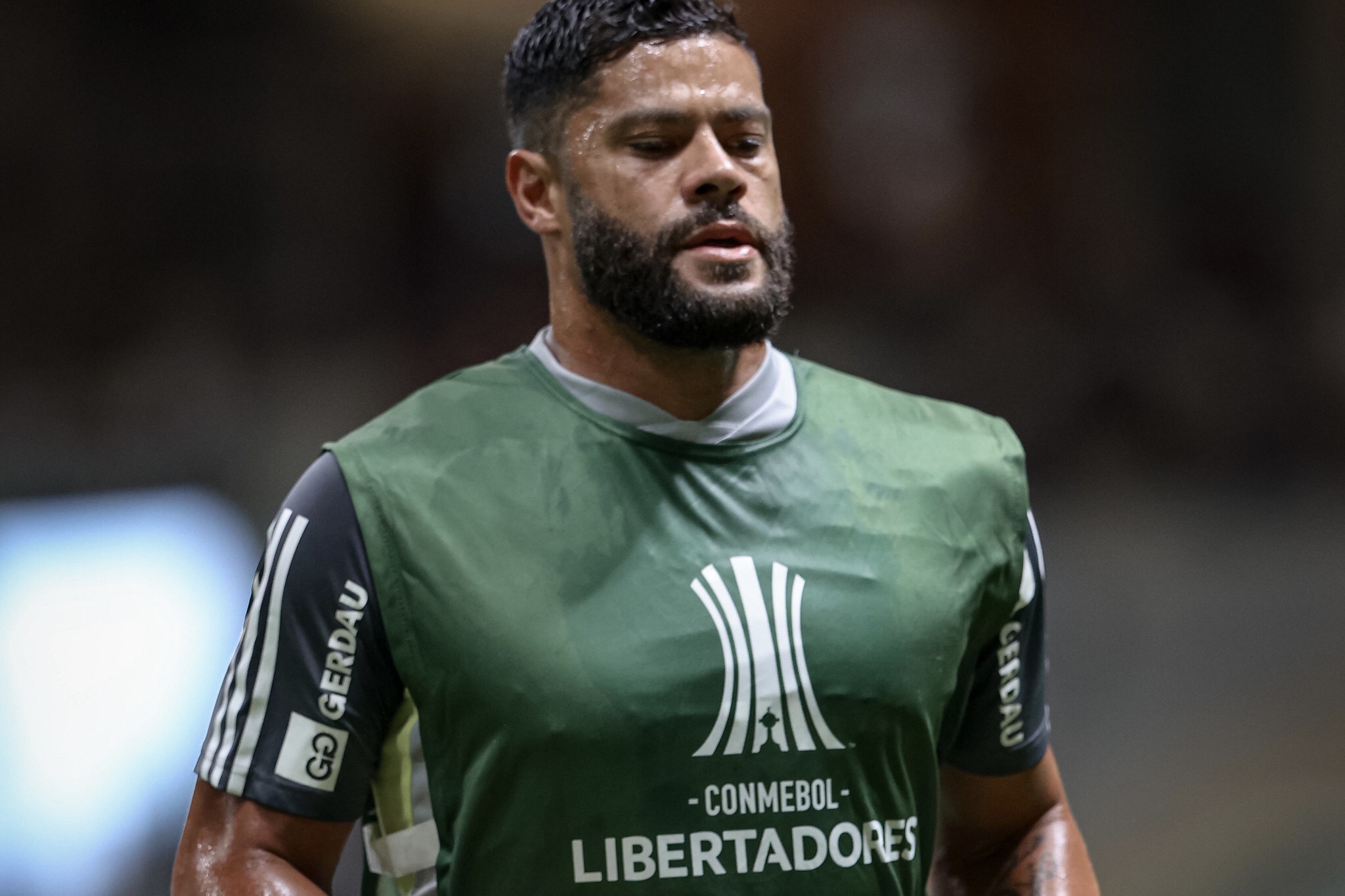 HULK HULK