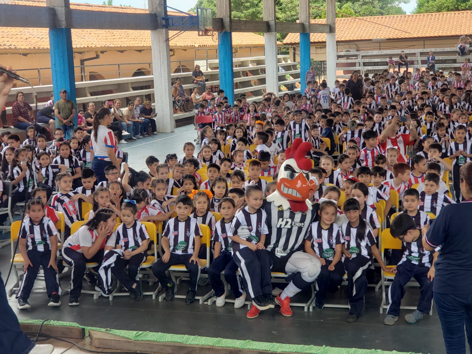 Foto: Divulgação/Instituto Galo