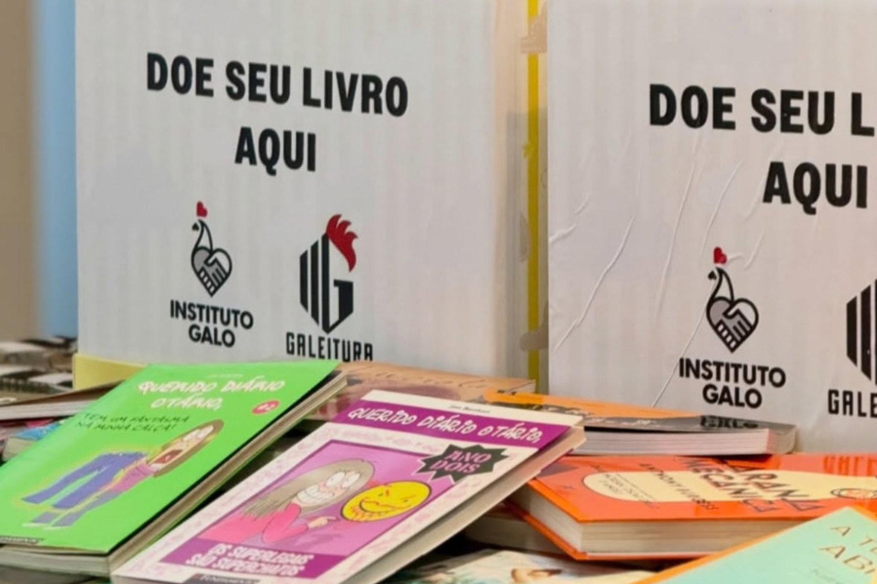 Galeitura e Instituto Galo se reuniram para fazer uma campanha de doação de livros.